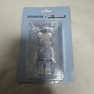 seventeen 베어브릭 정한