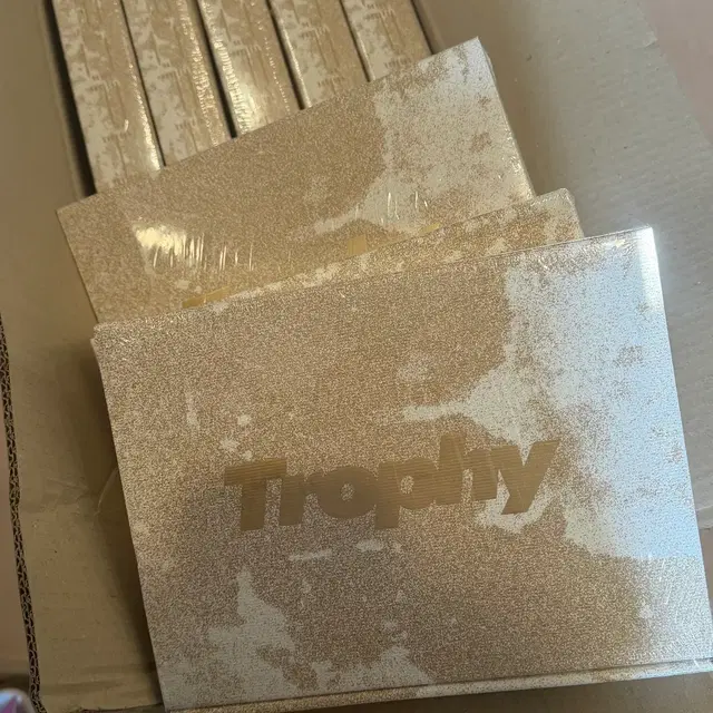 [미개봉]에이티투메이저 에투메 82major 트로피 앨범