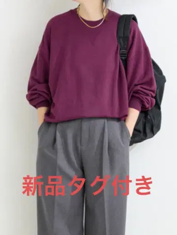 B.C STOCK 워셔블 / 백 프린트 풀오버