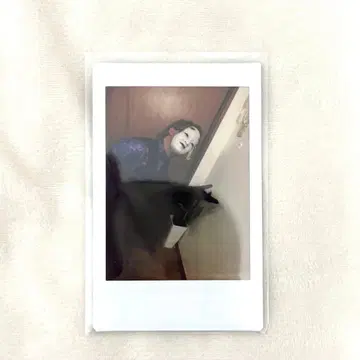 O-MENZ 오카메 오카메상 폴라로이드 2