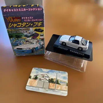 아오시마 샤코탄 부기 마유미의 세븐