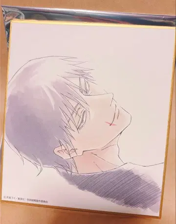 애니메이션 주술회전전 회옥 옥절 미니색지 후시구로 토우지 2