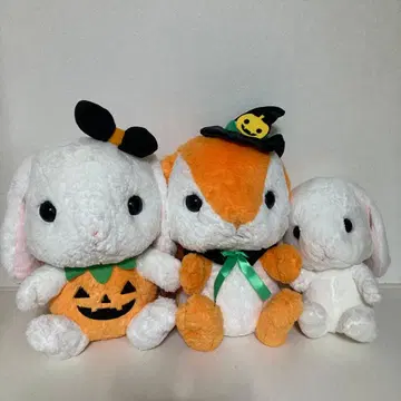 포테우사 롯삐 할로윈 BIG 봉제 인형