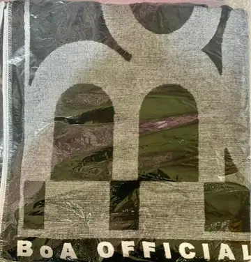 BoA SOUL 한정판 굿즈 점보 타월