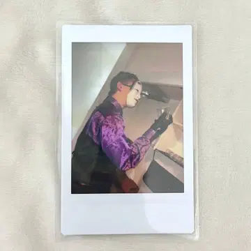 O-MENZ 오카메 오카메상 폴라로이드 5