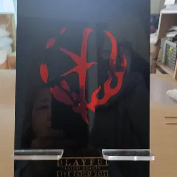 PLAYFUL LIVE TOUR 2021 팜플렛과 사진 세트