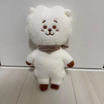 BT21 봉제 인형 RJ