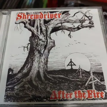 Skrewdriver After the Fire