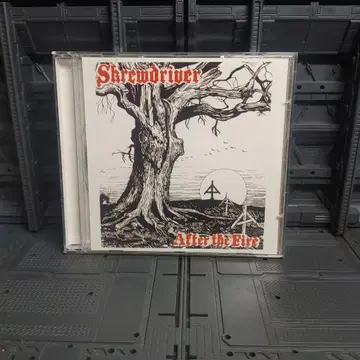 Skrewdriver After the Fire oi skins