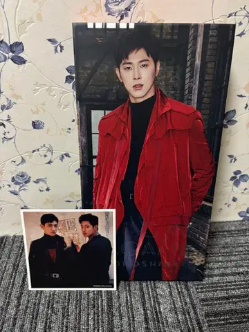 BEGIN AGAIN CD 3장 + DVD + 사진집