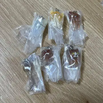 나메코 재배 키트 메지루시 액세서리 2 컴플리트