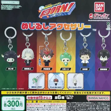 가정교사 히트맨 리본 메지루시 액세서리 전 6종 컴플리트