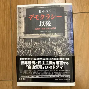 데모크라시 이후 협조적 보호주의 제창