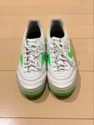 미즈노 모렐리아