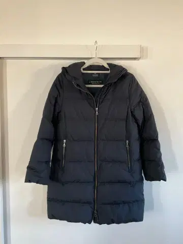 나노 유니버스 리몬타 다운