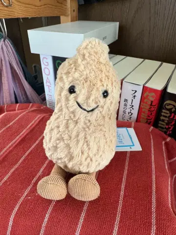 [ jellycat ] 새상품급 피넛