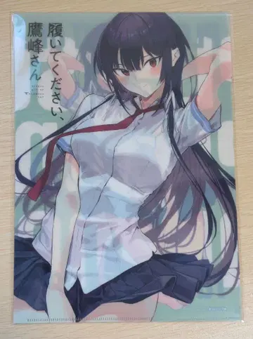 클리어 파일 신어주세요, 타카미네 씨 2025 겨울 게마파