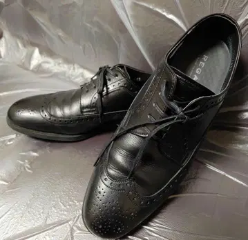 [ 12/16까지 한정판 판매 ] REGAL 2족 세트