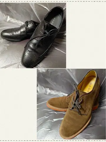 [ 12/16까지 한정판 판매 ] REGAL 2족 세트