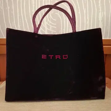 ETRO 벨벳 토트백 보라색