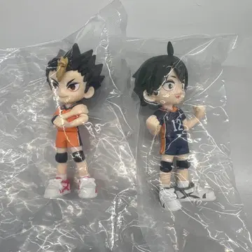 하이큐 PalVerse 야마구치 타다시 니시노야 유우