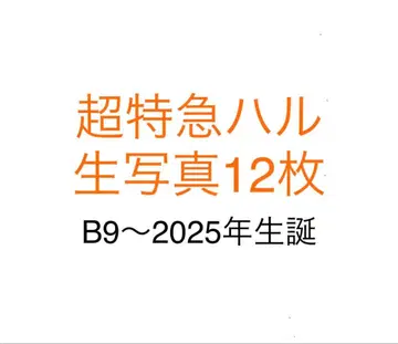 초특급 하루 브로마이드