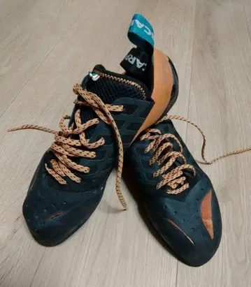 스컬파인스틴크VS EU42