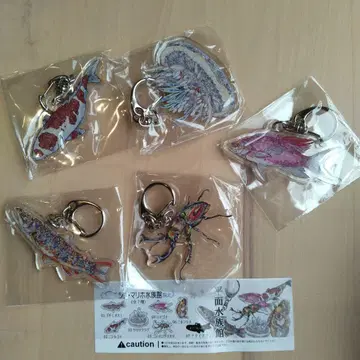 신 마리호 수족관 평면 수족관 5종 namiko