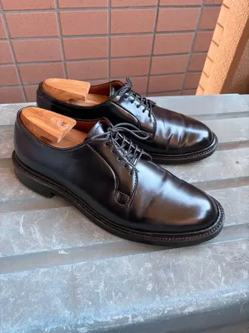 알든 블랙 9901 코도반 7D