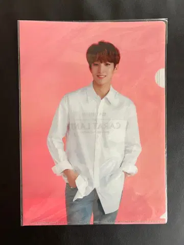 SEVENTEEN CARAT LAND DK 클리어 파일