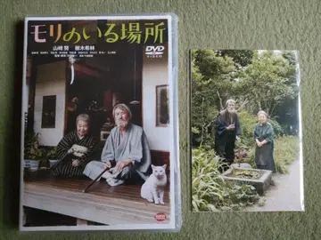 새상품 모리노이루바쇼 오키타 슈이치 야마자키 츠토무 키키 키린 엽서 포함