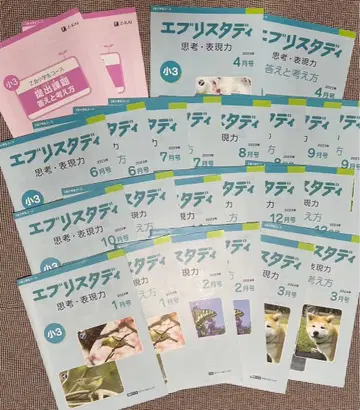 미기입 Z회 에브리 스터디 사고 표현력 2023 초3