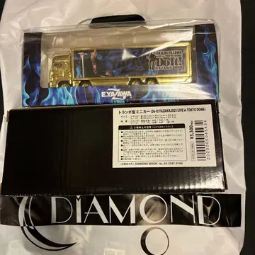 야자와 에이요시 2025년 도쿄돔 미니카