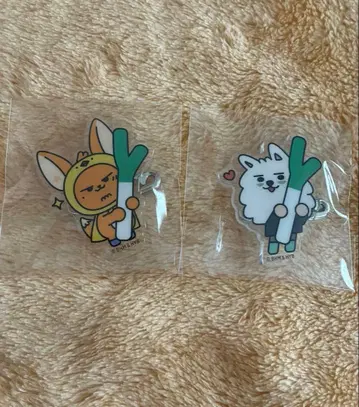 TXT 지역 한정 배지 사이타마 용문과 판춘 세트