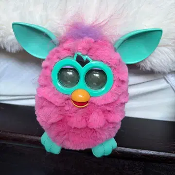 퍼비 상자 없음