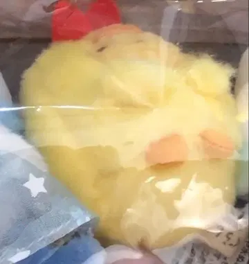 스미코구라시 테노리 봉제 인형 새우튀김 꼬리 미닛코와 놀자