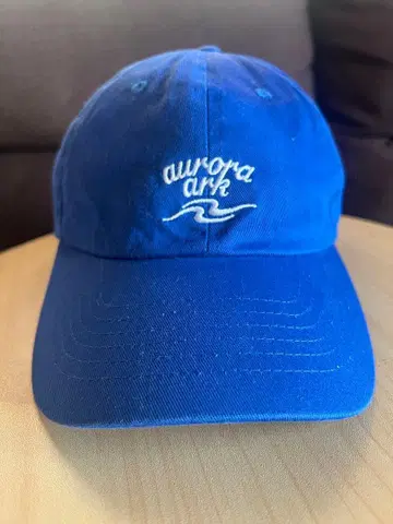 BUMP OF CHICKEN aurora ark 캡