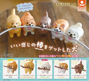 느낌 좋은 막대기를 겟한 개 코기 2마리