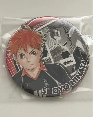 하이큐 히나타 쇼요 캔뱃지 컬렉션 HEROES