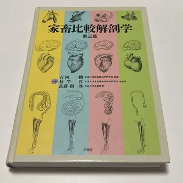 가축 비교 해부학