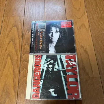 앤디 테일러 CD 2장 세트