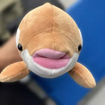 스마 시월드 오르카 복권 범고래 시나몬 컬러 4등 1개