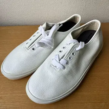 리프로덕션 오브 파운드 37