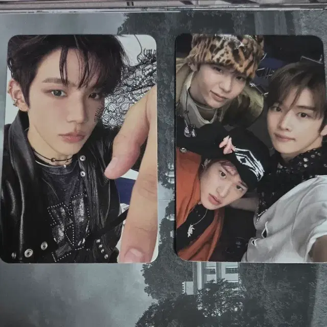 쇼타로 페임 카탈로그 앨범 포카+유닛 양도 미공포 럭드