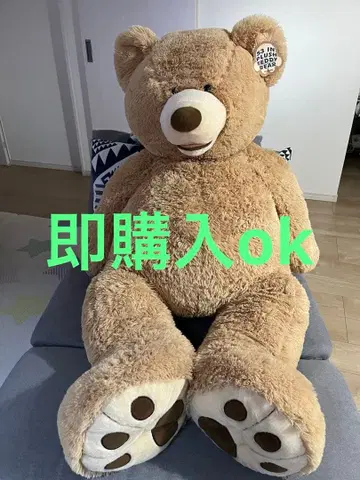 [ 새상품 ] Costco 테디베어 곰 봉제 인형 즉시 구매 ok