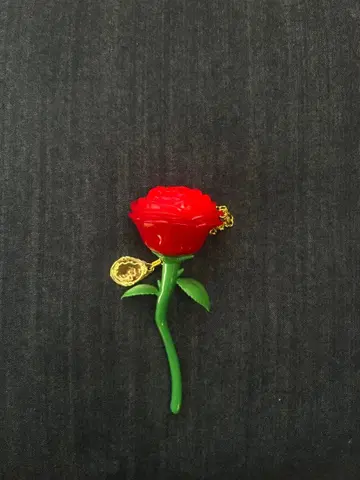 미녀와 야수 빛나는 장미 멜로디 체인