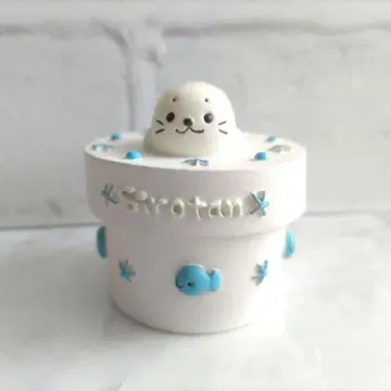 시로탄 소품함 용기 레어