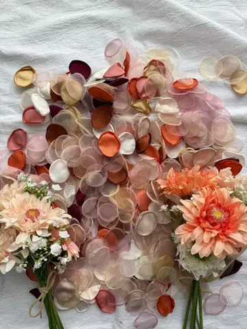 웰컴 스페이스 플라워 샤워와 조화 세트 리본 샤워