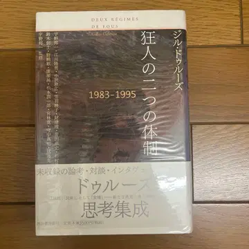 광인의 두 가지 체제 1983-1995