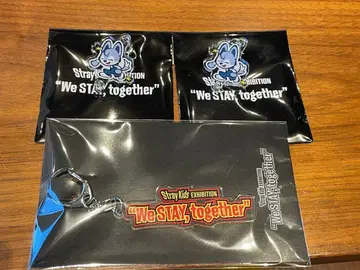 StrayKids EXHIBITION 아크릴 연결 키링 방찬